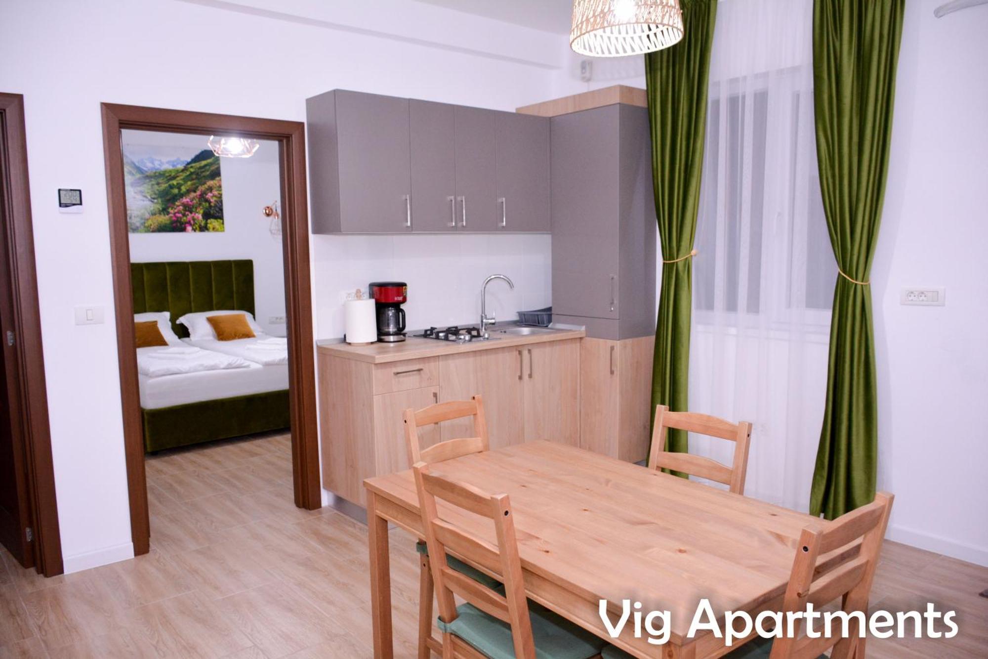 Vig Apartments Timisoara Esterno foto