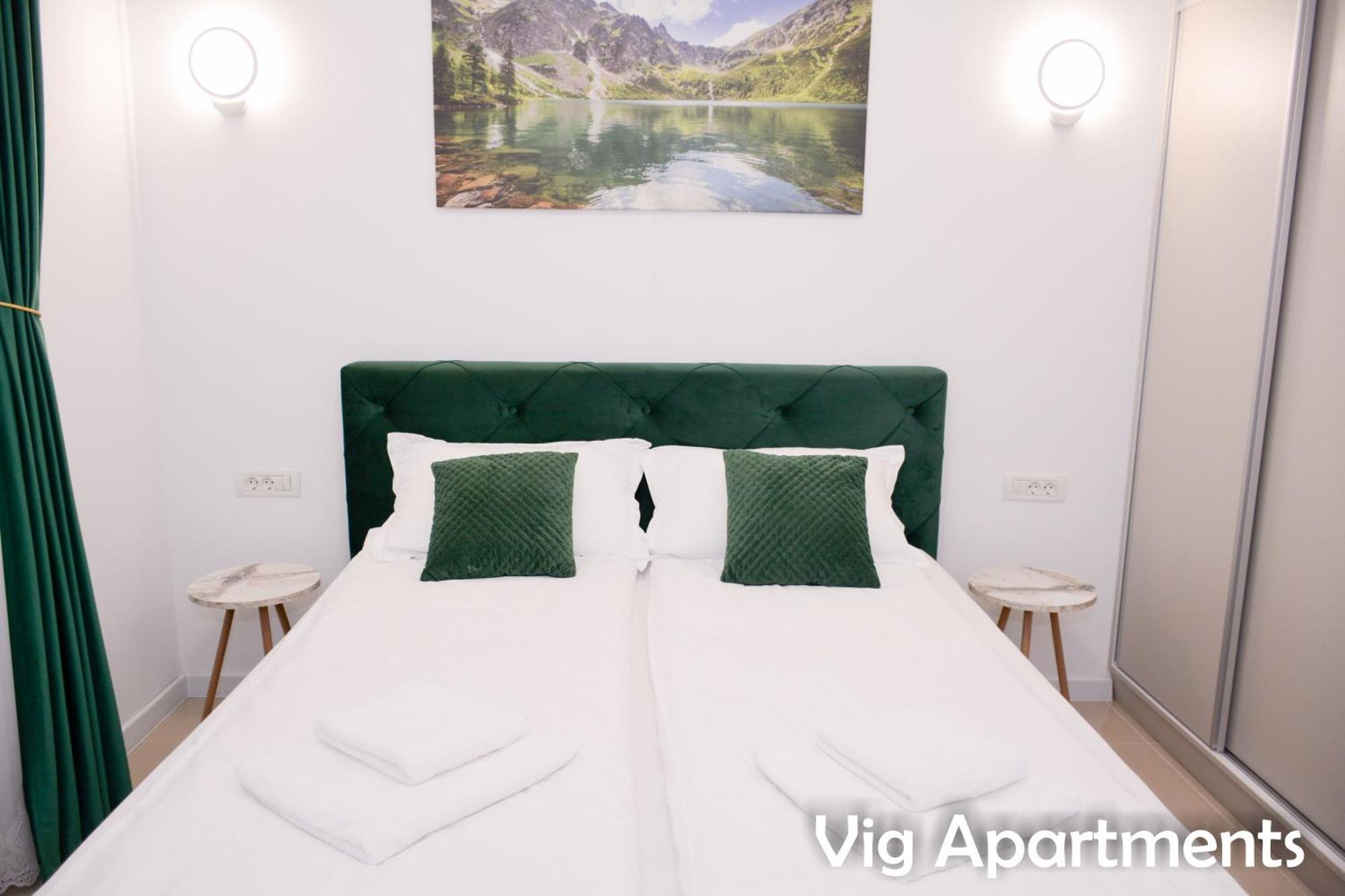 Vig Apartments Timisoara Esterno foto