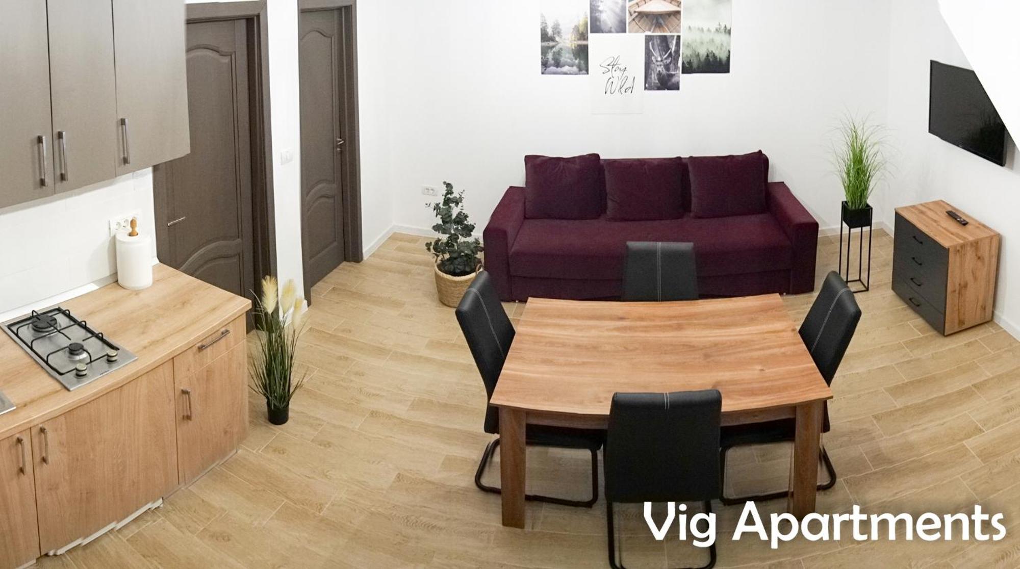 Vig Apartments Timisoara Esterno foto