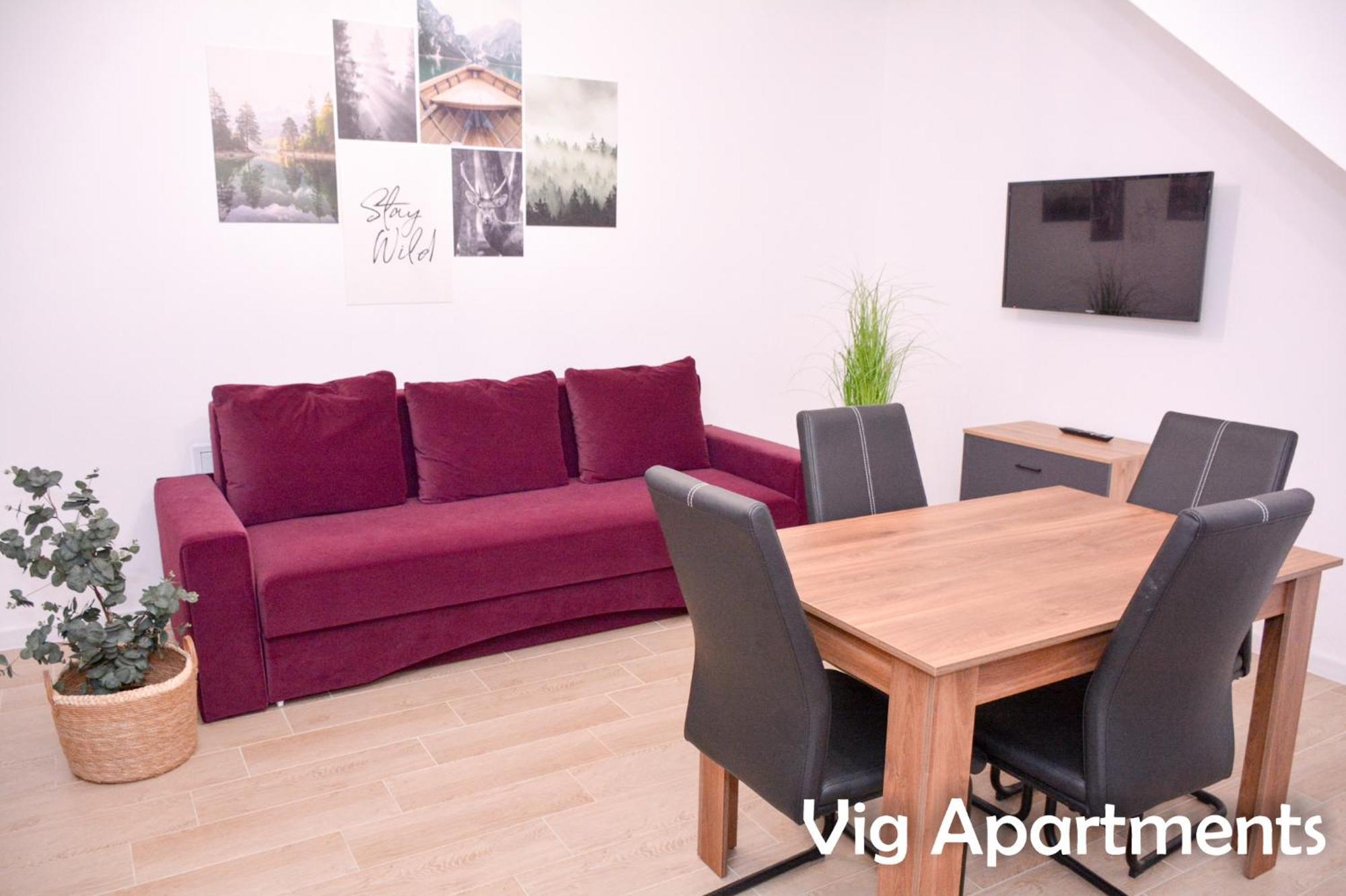 Vig Apartments Timisoara Esterno foto