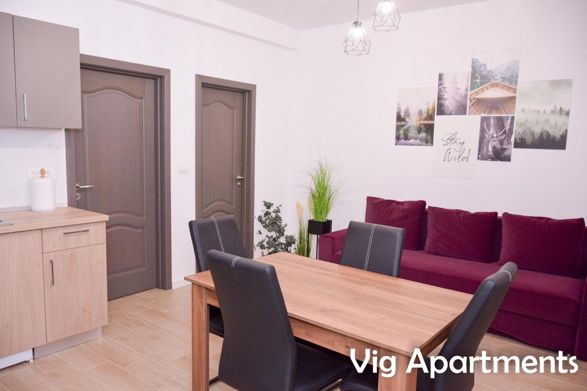 Vig Apartments Timisoara Esterno foto